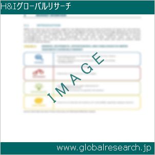グローバルリサーチ調査レポートのイメージ